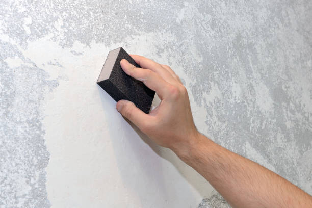 Best Airborne Mold Testing  in West Branch, MI