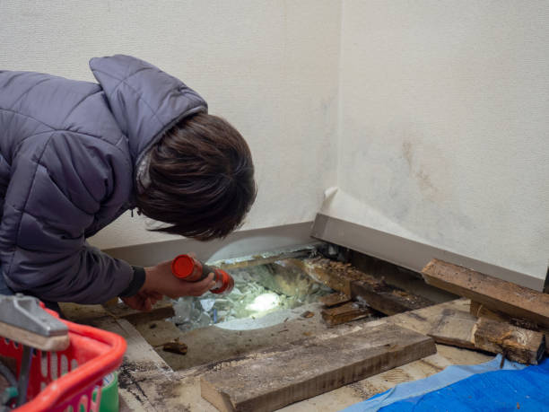 Best Forensic Mold Investigation  in West Branch, MI
