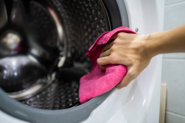 Best Mold Damage Restoration  in West Branch, MI