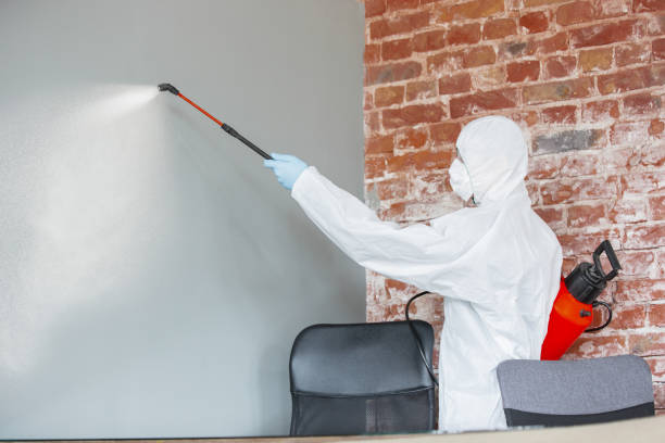 Best Post-Construction Mold Inspection  in West Branch, MI