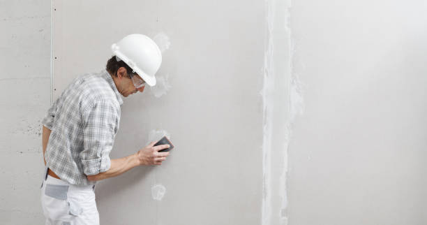 Best Real Estate Mold Inspection  in West Branch, MI