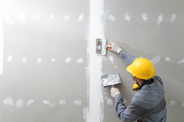Best Biohazard Mold Removal  in West Branch, MI