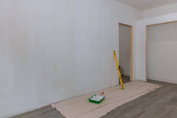 Best Asbestos and Lead Testing During Mold Inspection  in West Branch, MI