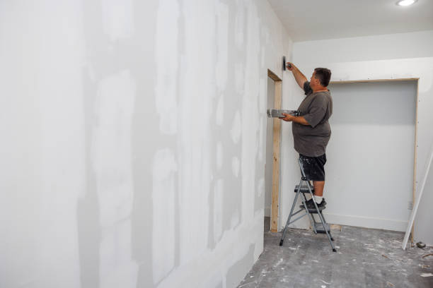 Mold Documentation for Insurance Claims in West Branch, MI