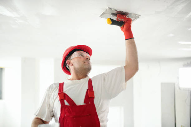 Best Residential Mold Inspection & Testing  in West Branch, MI