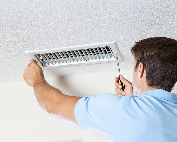 Best Crawl Space Mold Remediation  in West Branch, MI