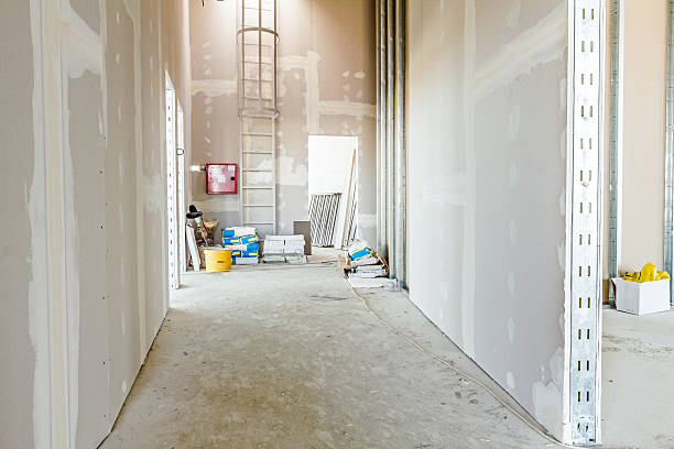 Best Industrial Mold Remediation  in West Branch, MI