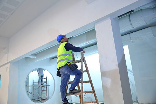 Best Mold Remediation for Rental Properties  in West Branch, MI