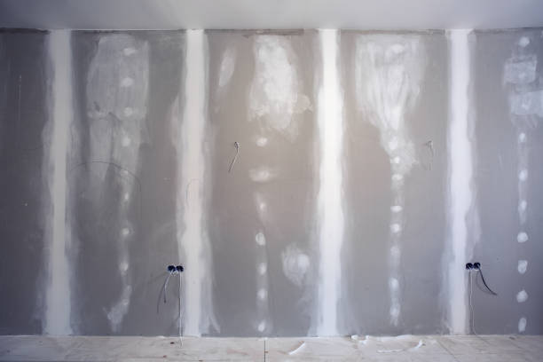 Best HVAC Mold Inspection and Cleaning  in West Branch, MI